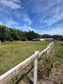 15617 Casey Road - Photo 5