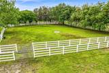 11410 Trotting Down Drive - Photo 79