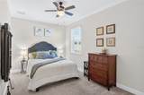 3905 Aquilla Drive - Photo 55