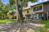 3505 Tarpon Woods Boulevard - Photo 48