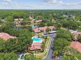 3505 Tarpon Woods Boulevard - Photo 55