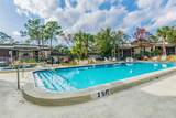 3505 Tarpon Woods Boulevard - Photo 62