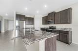 32003 Conchshell Sail Street - Photo 17