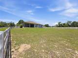 1381 Spend A Buck Drive - Photo 80
