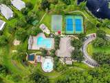 15807 Fishhawk Falls Drive - Photo 25