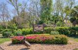 6305 Pelican Creek Crossing - Photo 3