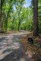 8602 Bonnie Cove Lane - Photo 5