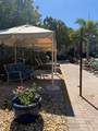 402 Armenia Avenue - Photo 36