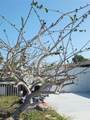 6316 Fairway Boulevard - Photo 35