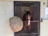 8907 104TH Circle - Photo 47