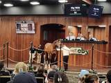 8907 104TH Circle - Photo 48