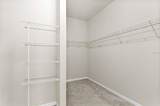 11412 Lake Lucaya Drive - Photo 41