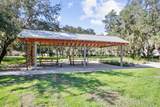 12683 Burns Drive - Photo 52