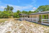 687 Jasmine Way - Photo 35