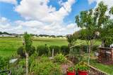 799 Alpine Thistle Drive - Photo 56