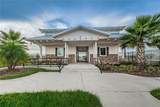 18233 Roseate Drive - Photo 82