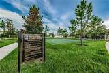 18233 Roseate Drive - Photo 84