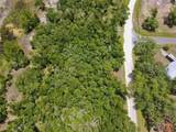 34237 Shaffer Drive - Photo 6
