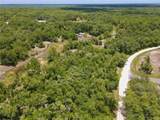 34237 Shaffer Drive - Photo 8