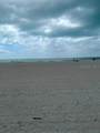 17920 Gulf Boulevard - Photo 3