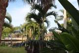 1019 Spindle Palm Way - Photo 79