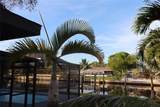 1019 Spindle Palm Way - Photo 80