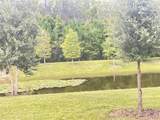 16919 Forge Surf Street - Photo 30