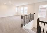 12558 Colonnade Vista Drive - Photo 13