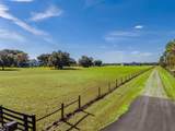 3527 Powerline Road - Photo 9