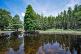 10403 Micanopy Street - Photo 53