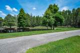 10403 Micanopy Street - Photo 54
