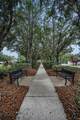 10403 Micanopy Street - Photo 81