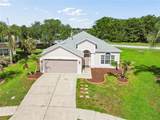 27211 Liriope Court - Photo 39