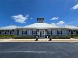 838 Olive Conch Street - Photo 17