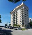 2109 Bayshore Boulevard - Photo 30