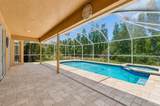 10746 Cory Lake Drive - Photo 53