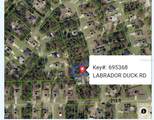 11335 Labrador Duck Road - Photo 1
