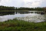 730 Crystal Lake Rd - Photo 47