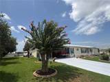 37602 Lilly Bea Avenue - Photo 46