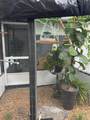 6503 Dovewood Place - Photo 16