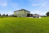 10007 Dolphin Gull Circle - Photo 29