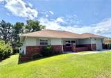 3123 Maidencane Drive - Photo 2