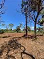 45 Long Meadow Place - Photo 4