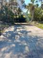 5353 Tropical Woods Court - Photo 4