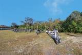 332 Anclote Road - Photo 6
