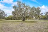 13505 Lussier Lane - Photo 47