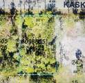 0966054925 Kaskin Avenue - Photo 9