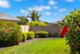 5965 Seabird Drive - Photo 43