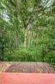 27629 Pleasure Ride Loop - Photo 39