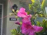 11568 Bayshore Drive - Photo 2